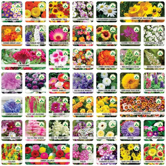 Flower seed (pack of 100)